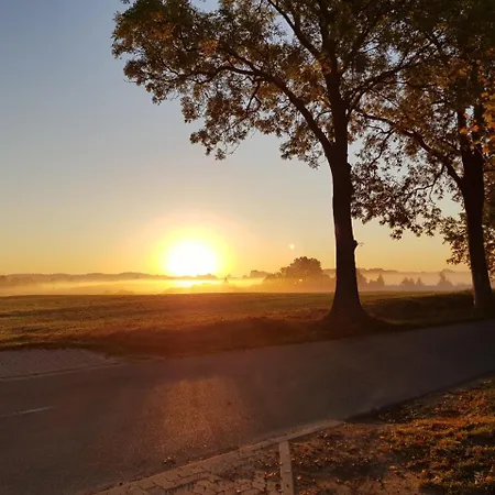 Апартаменты Residenz Seeblick 3 Balkon Mit Zugang Zum Garten Зеллин