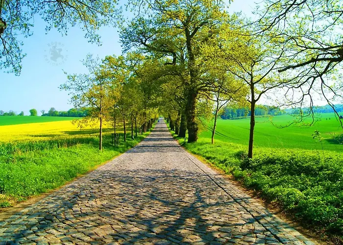 Апартаменты Residenz Seeblick 3 Balkon Mit Zugang Zum Garten